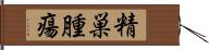 精巣腫瘍 Hand Scroll