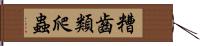 糟齒類爬蟲 Hand Scroll