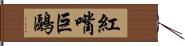 紅嘴巨鷗 Hand Scroll