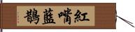 紅嘴藍鵲 Hand Scroll