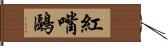 紅嘴鷗 Hand Scroll