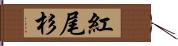 紅尾杉 Hand Scroll