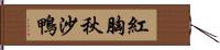 紅胸秋沙鴨 Hand Scroll