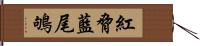 紅脅藍尾鴝 Hand Scroll