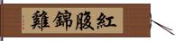 紅腹錦雞 Hand Scroll