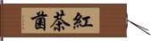 紅茶菌 Hand Scroll