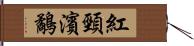 紅頸濱鷸 Hand Scroll