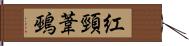 紅頸葦鵐 Hand Scroll