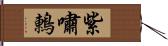 紫嘯鶇 Hand Scroll