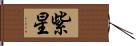 紫星 Hand Scroll