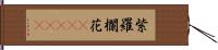 紫羅欄花(ateji) Hand Scroll