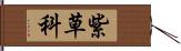 紫草科 Hand Scroll