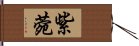 紫菀 Hand Scroll