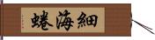 細海蜷 Hand Scroll