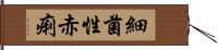 細菌性赤痢 Hand Scroll