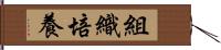 組織培養 Hand Scroll