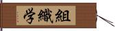 組織学 Hand Scroll