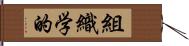 組織学的 Hand Scroll