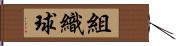 組織球 Hand Scroll