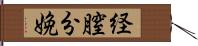 経膣分娩 Hand Scroll