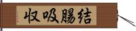 結腸吸収 Hand Scroll