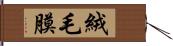 絨毛膜 Hand Scroll