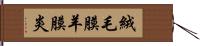 絨毛膜羊膜炎 Hand Scroll