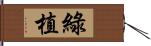 綠植 Hand Scroll