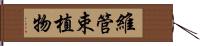 維管束植物 Hand Scroll