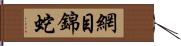 網目錦蛇 Hand Scroll