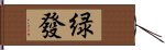 緑發 Hand Scroll