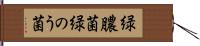 緑膿菌 Hand Scroll