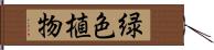 緑色植物 Hand Scroll