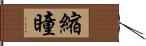 縮瞳 Hand Scroll