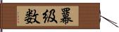 羃級数 Hand Scroll