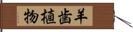 羊歯植物 Hand Scroll