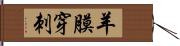 羊膜穿刺 Hand Scroll