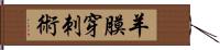 羊膜穿刺術 Hand Scroll