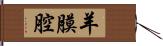 羊膜腔 Hand Scroll