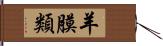 羊膜類 Hand Scroll