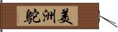 美洲鴕 Hand Scroll