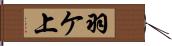 羽ケ上 Hand Scroll