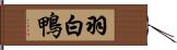 羽白鴨 Hand Scroll