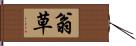 翁草 Hand Scroll