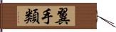 翼手類 Hand Scroll