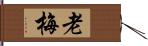 老梅 Hand Scroll