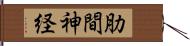 肋間神経 Hand Scroll