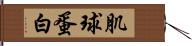 肌球蛋白 Hand Scroll