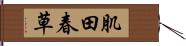 肌田春草 Hand Scroll