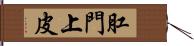 肛門上皮 Hand Scroll